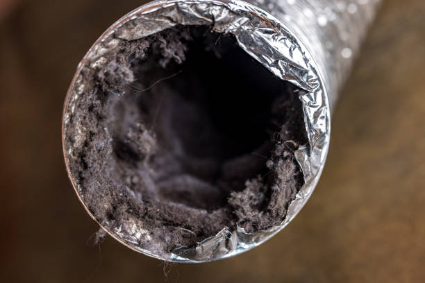 Best HVAC Duct Inspection Services  in Valparaiso, IN